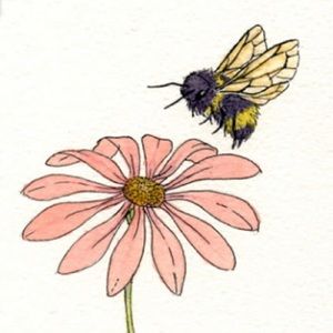 Meet your Posher, Corrie